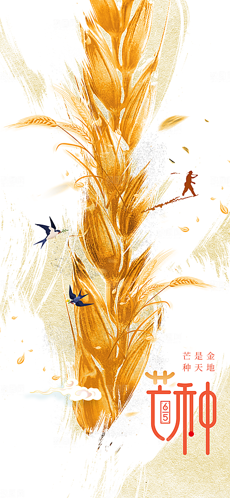 芒种节气传统活动海报