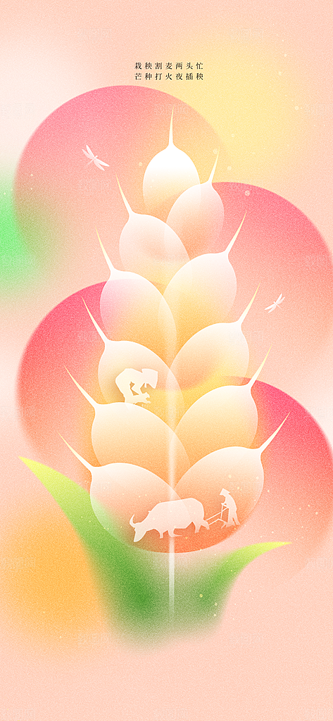 芒种节气传统活动海报