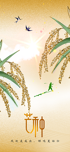 芒种节气传统活动海报