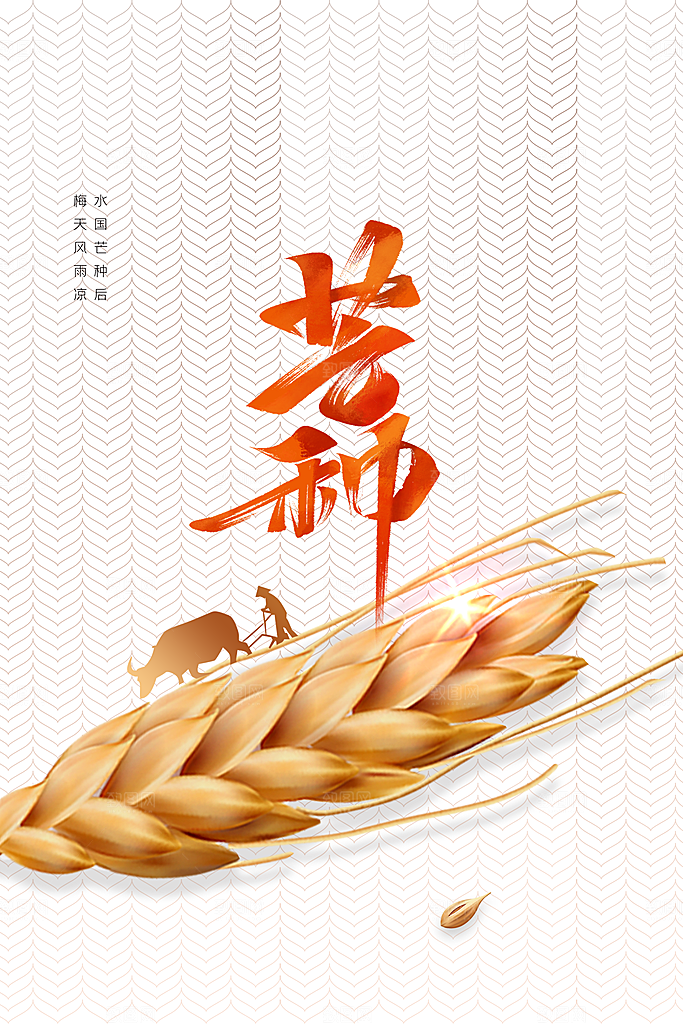 芒种节气传统活动海报