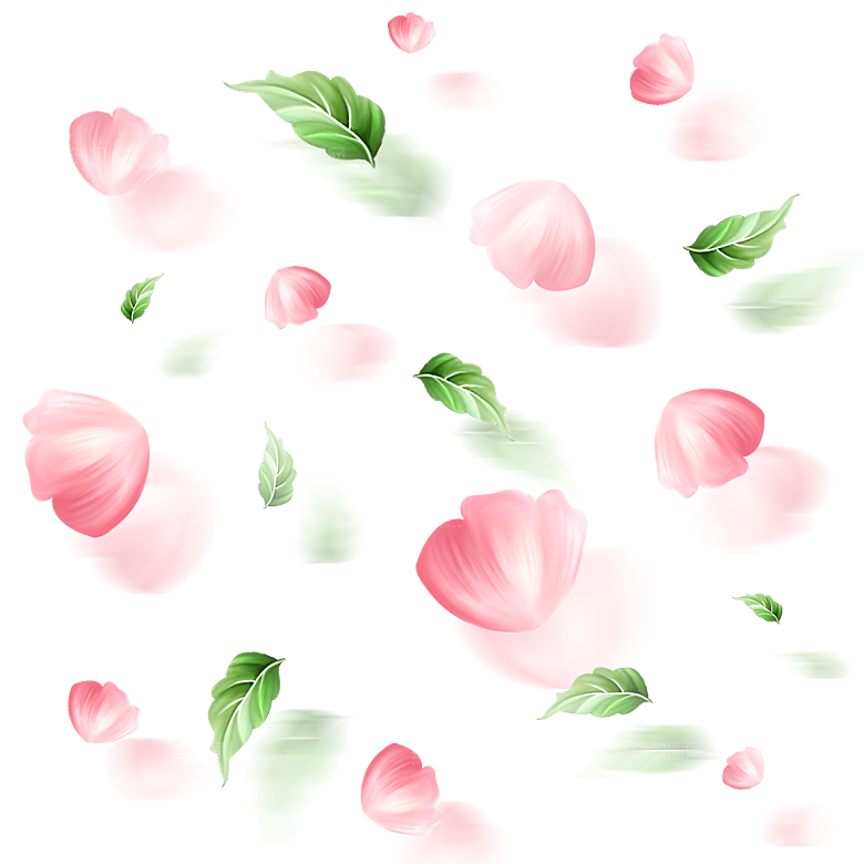 手绘花瓣花朵花卉装饰图案PNG免抠