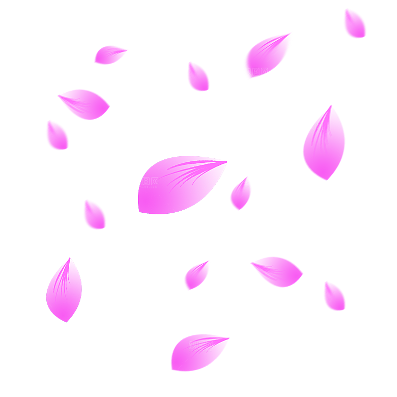 手绘花瓣花朵花卉装饰图案PNG免抠