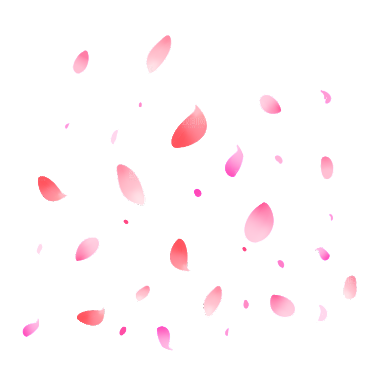 手绘花瓣花朵花卉装饰图案PNG免抠