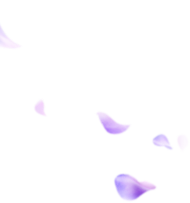 手绘花瓣花朵花卉装饰图案PNG免抠素材