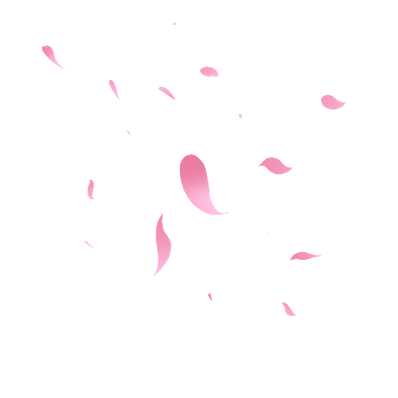 手绘花瓣花朵花卉装饰图案PNG免抠