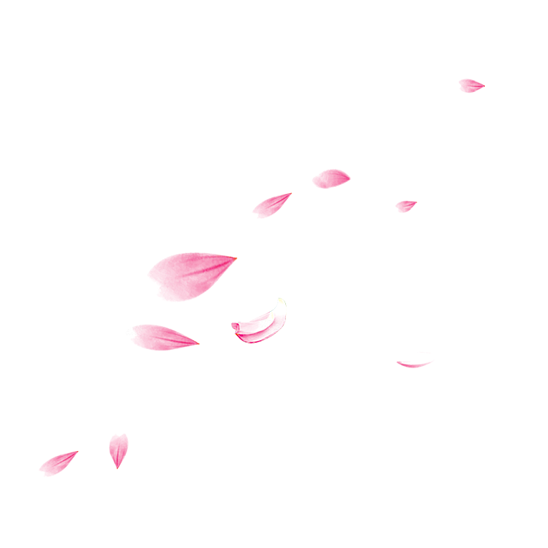 手绘花瓣花朵花卉装饰图案PNG免抠