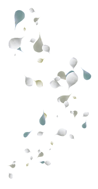 手绘花瓣花朵花卉装饰图案PNG免抠
