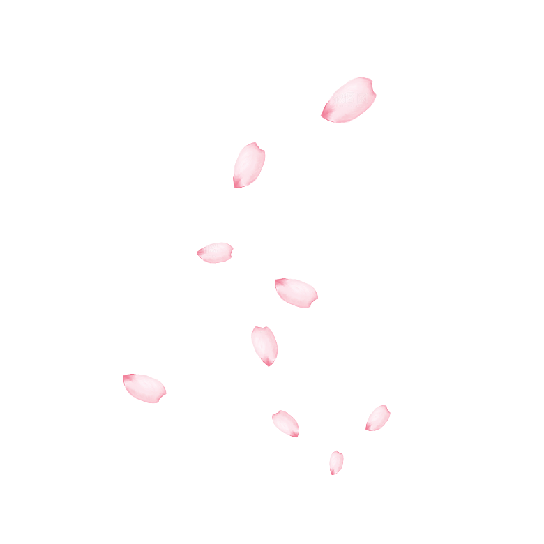 手绘花瓣花朵花卉装饰图案PNG免抠