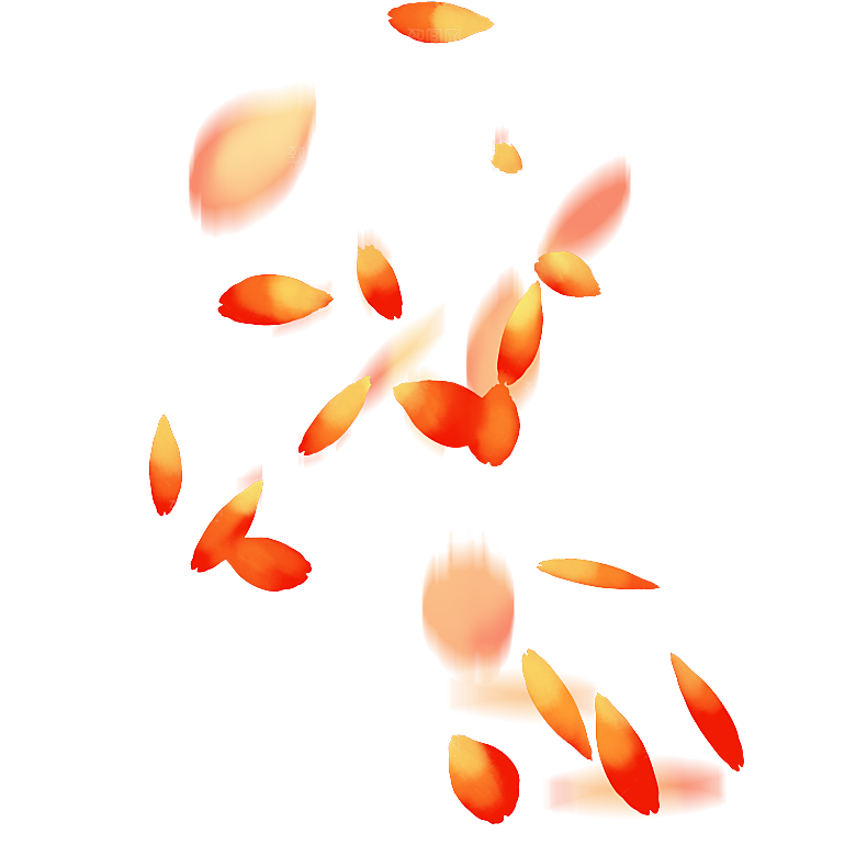 手绘花瓣花朵花卉装饰图案PNG免抠素材