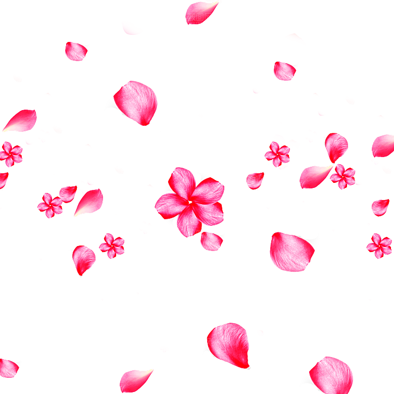 手绘花瓣花朵花卉装饰图案PNG免抠