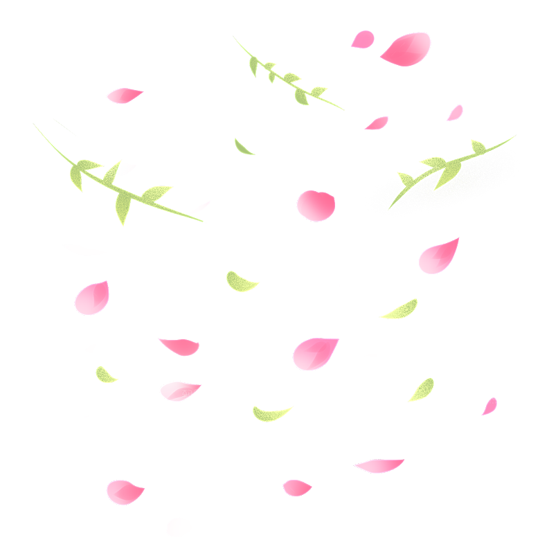 手绘花瓣花朵花卉装饰图案PNG免抠素材
