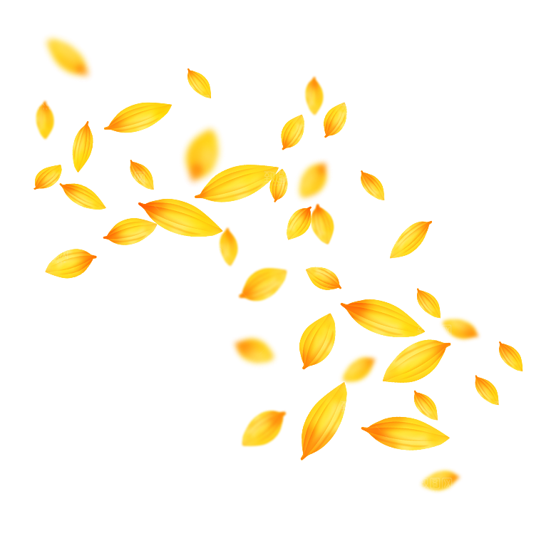手绘花瓣花朵花卉装饰图案PNG免抠素材