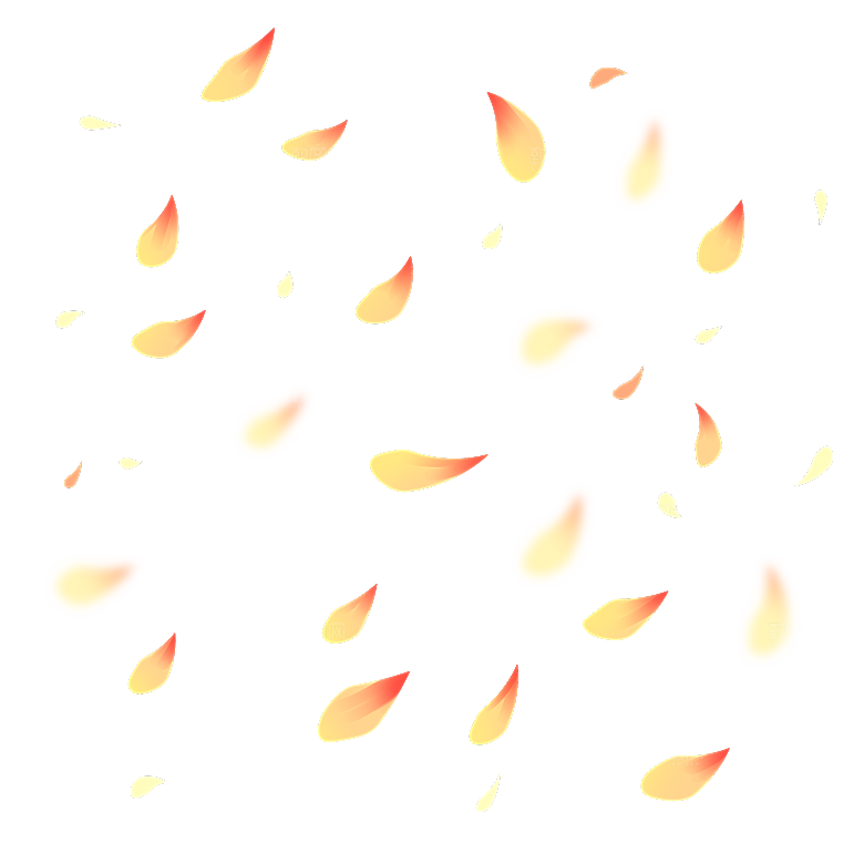 手绘花瓣花朵花卉装饰图案PNG免抠素材