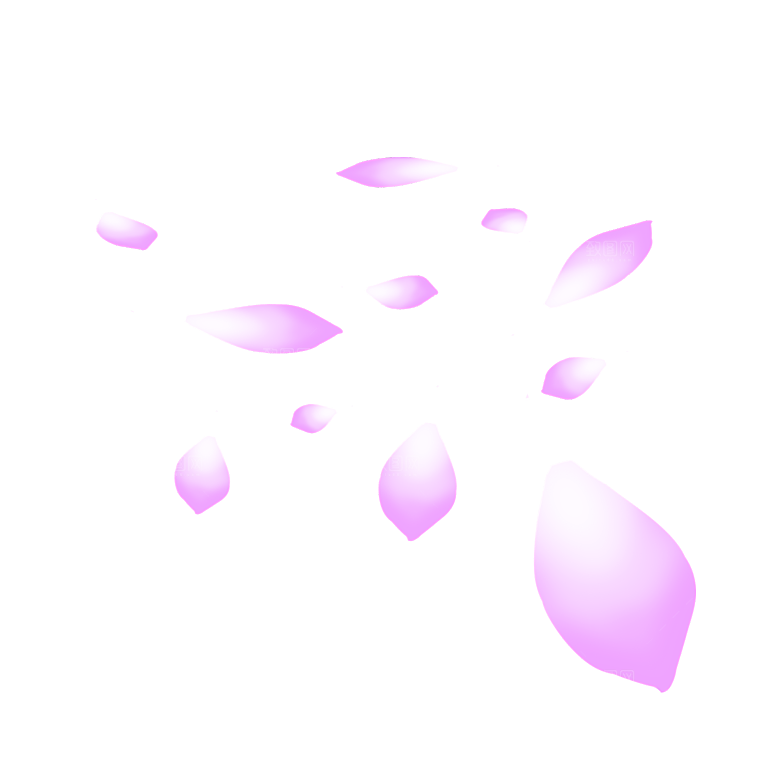 手绘花瓣花朵花卉装饰图案PNG免抠素材
