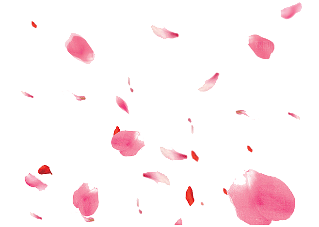 手绘花瓣花朵花卉装饰图案PNG免抠素材