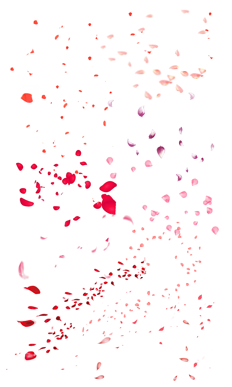 手绘花瓣花朵花卉装饰图案PNG免抠