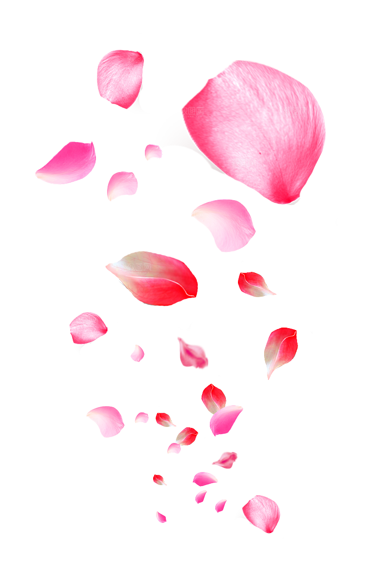 手绘花瓣花朵花卉装饰图案PNG免抠