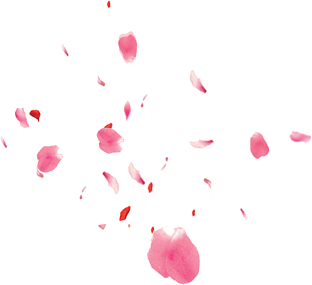 手绘花瓣花朵花卉装饰图案PNG免抠