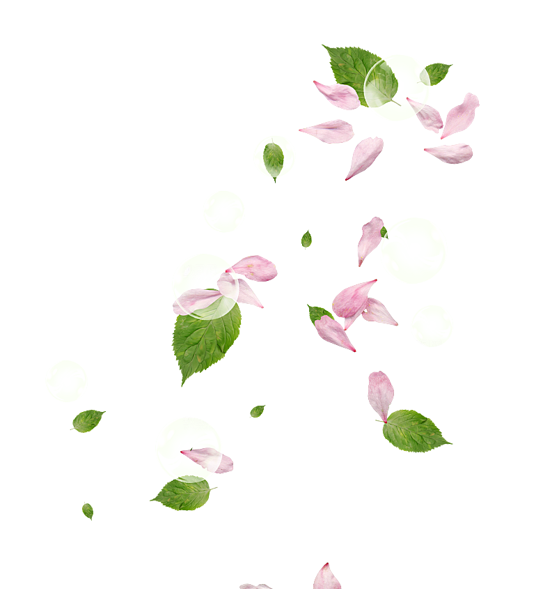 手绘花瓣花朵花卉装饰图案PNG免抠
