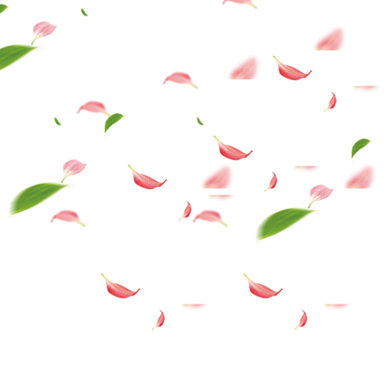 手绘花瓣花朵花卉装饰图案PNG免抠