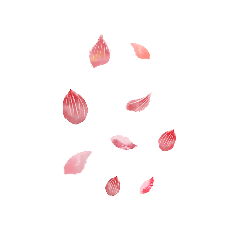 手绘花瓣花朵花卉装饰图案PNG免抠