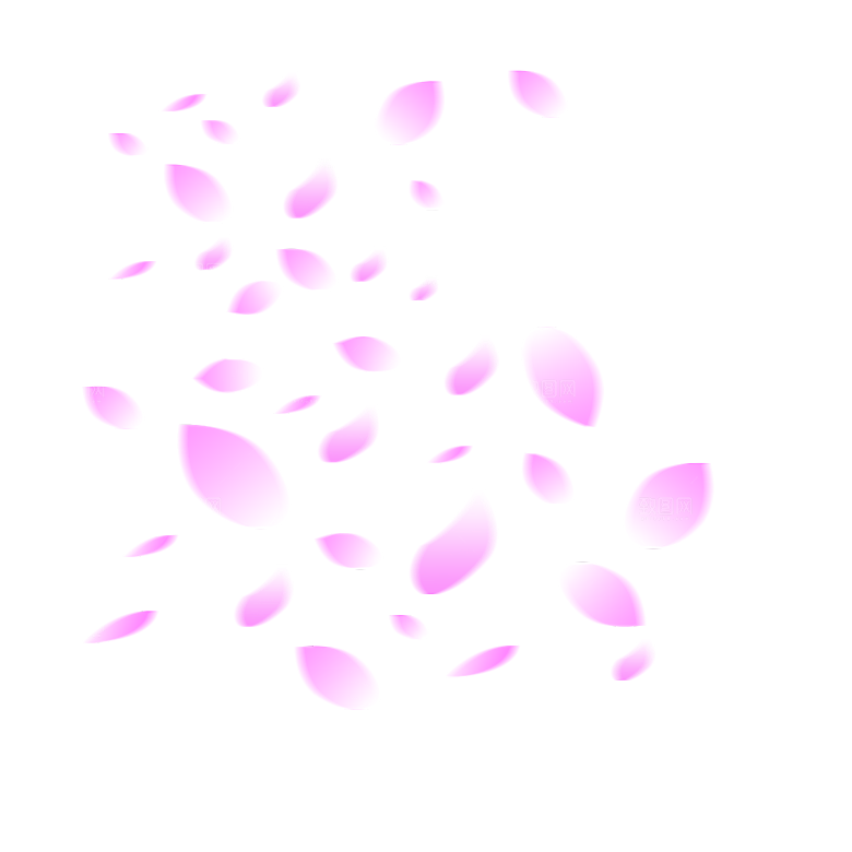 手绘花瓣花朵花卉装饰图案PNG免抠