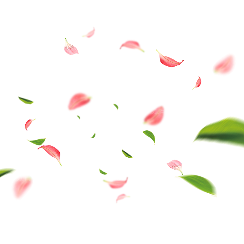 手绘花瓣花朵花卉装饰图案PNG免抠素材