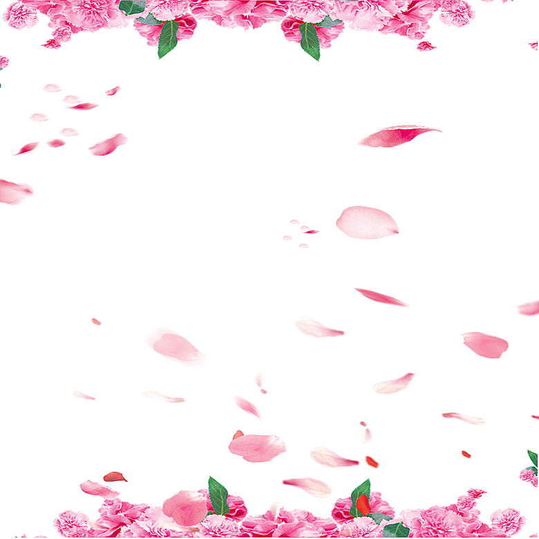 手绘花瓣花朵花卉装饰图案PNG免抠素材