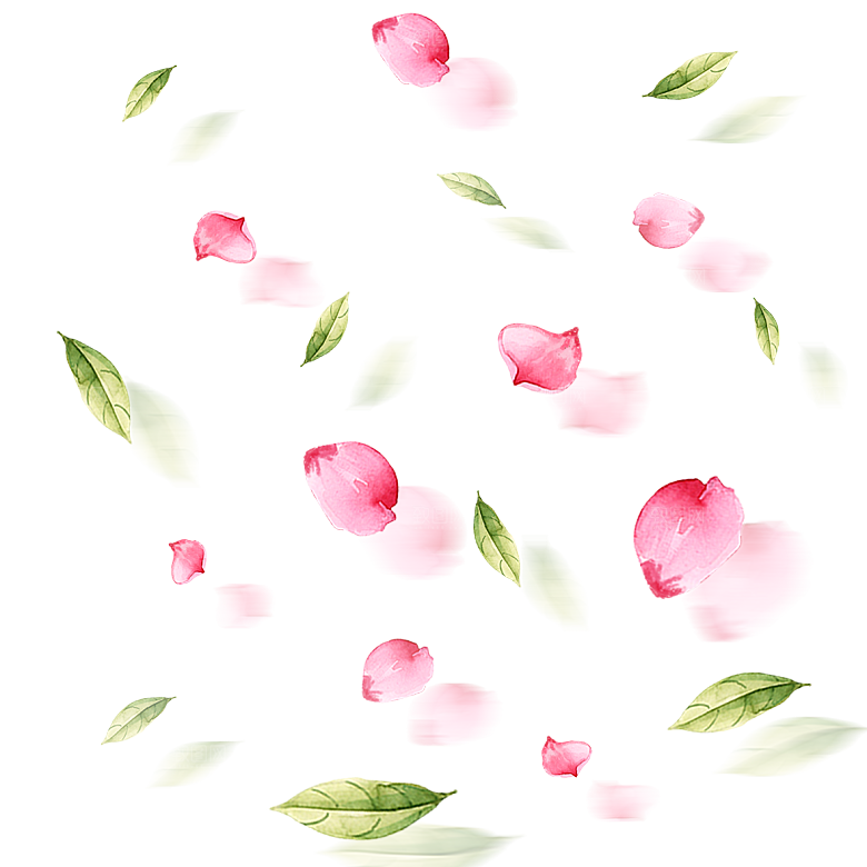手绘花瓣花朵花卉装饰图案PNG免抠素材