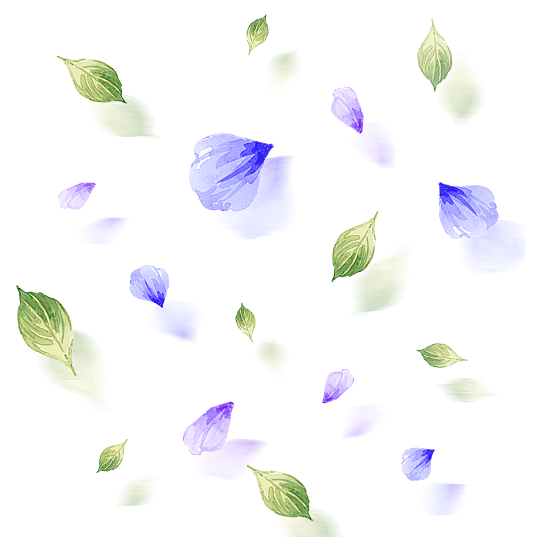 手绘花瓣花朵花卉装饰图案PNG免抠素材