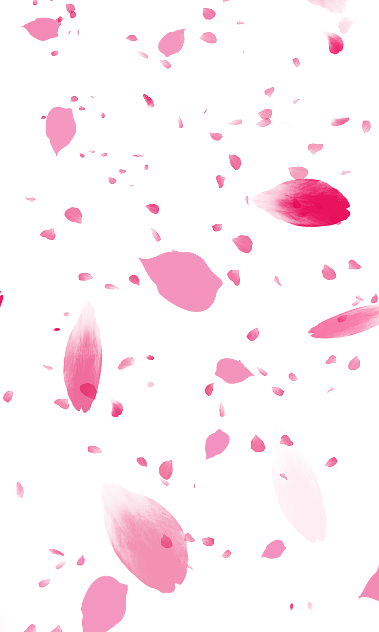 手绘花瓣花朵花卉装饰图案PNG免抠