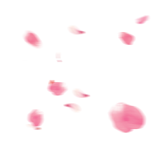 手绘花瓣花朵花卉装饰图案PNG免抠