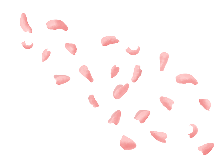 手绘花瓣花朵花卉装饰图案PNG免抠