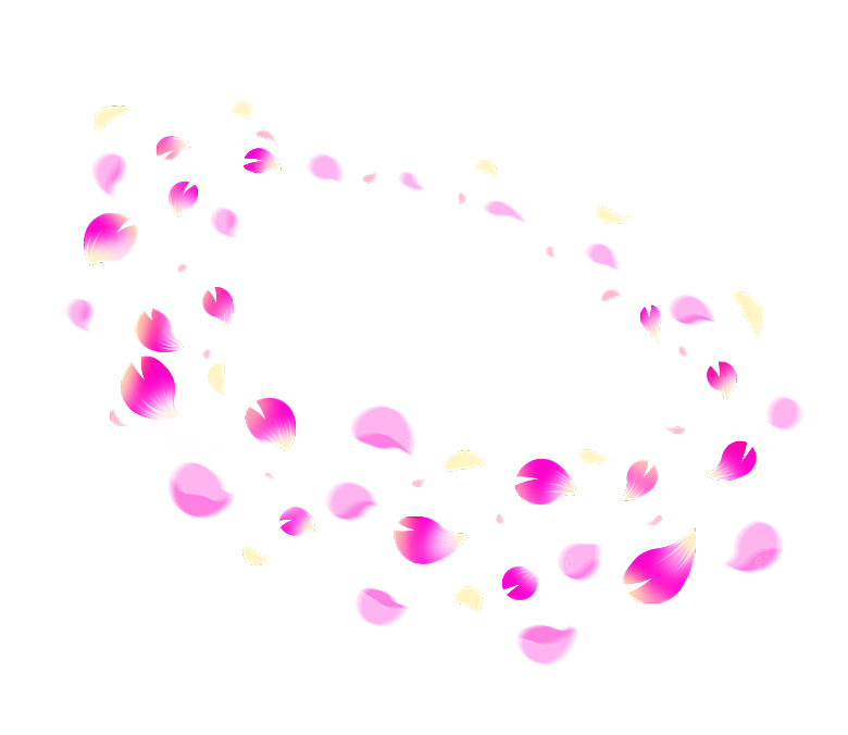 手绘花瓣花朵花卉装饰图案PNG免抠素材