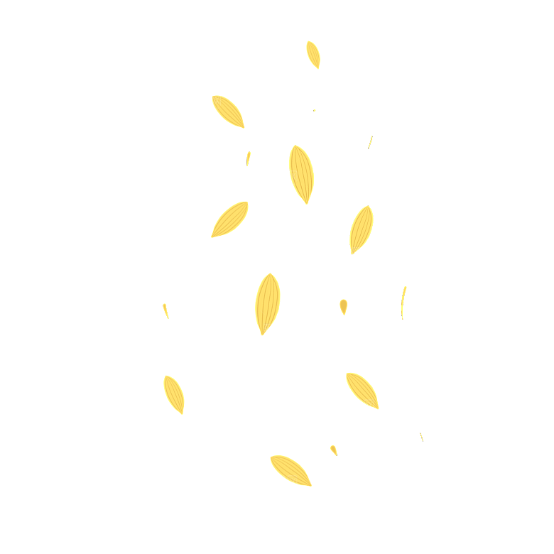 手绘花瓣花朵花卉装饰图案PNG免抠素材
