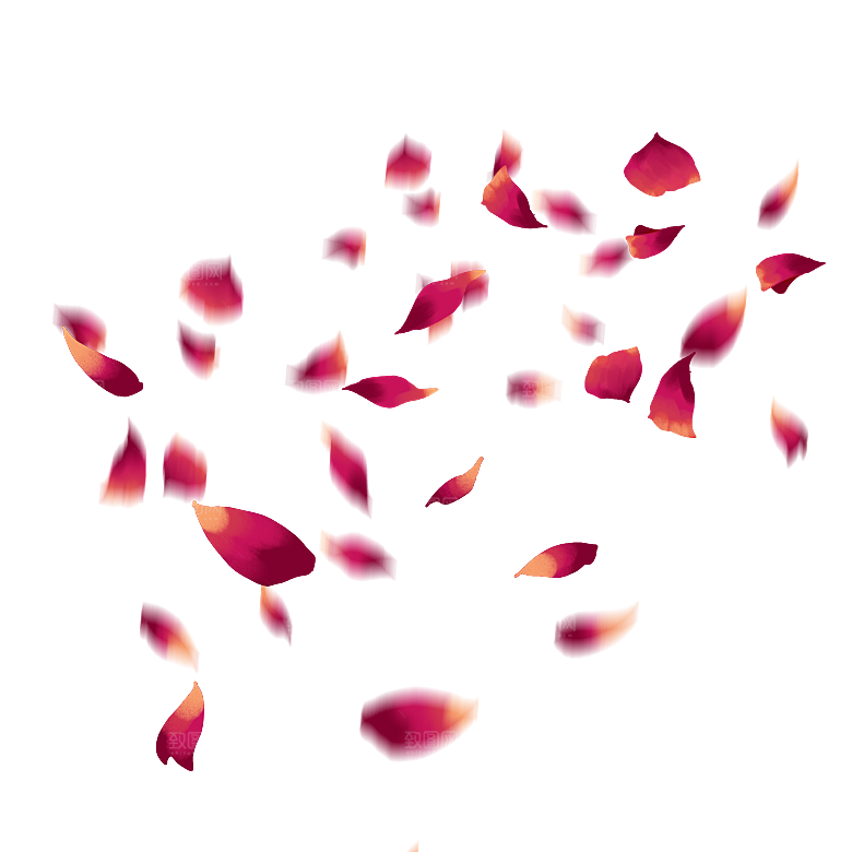 手绘花瓣花朵花卉装饰图案PNG免抠素材