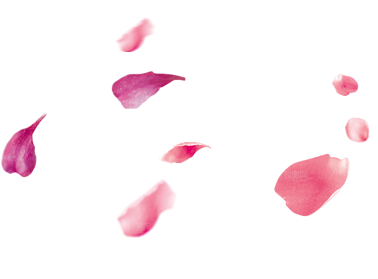 手绘花瓣花朵花卉装饰图案PNG免抠