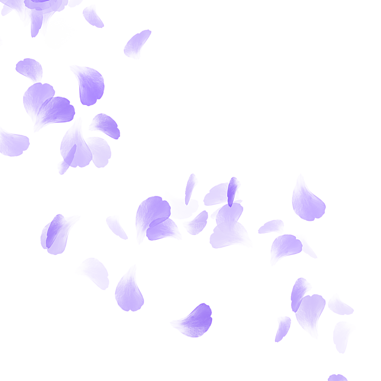 手绘花瓣花朵花卉装饰图案PNG免抠
