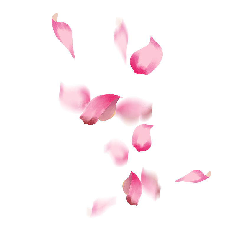 手绘花瓣花朵花卉装饰图案PNG免抠素材