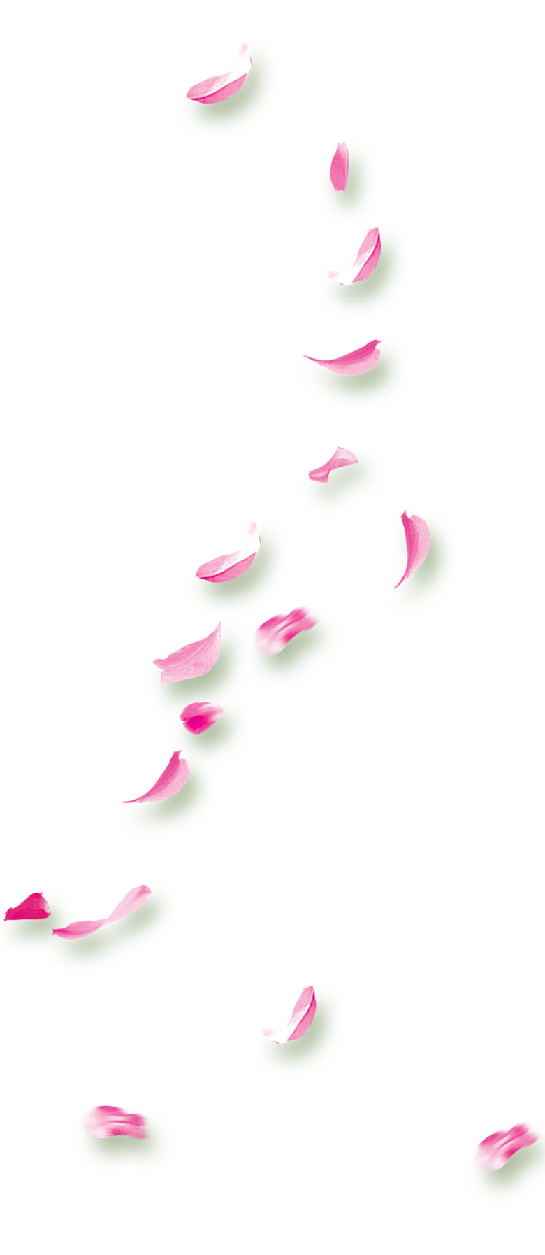 手绘花瓣花朵花卉装饰图案PNG免抠素材