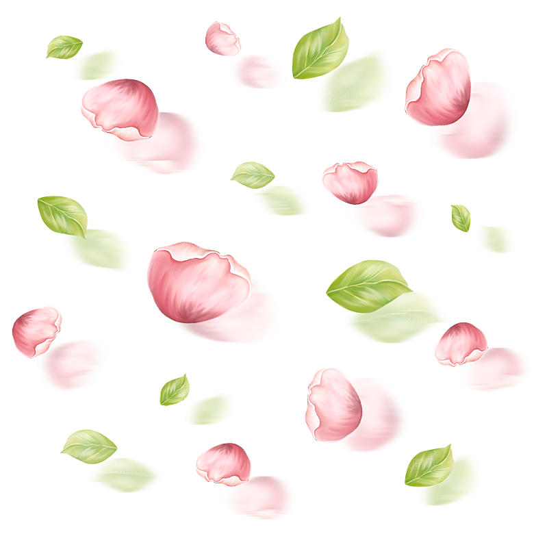 手绘花瓣花朵花卉装饰图案PNG免抠素材