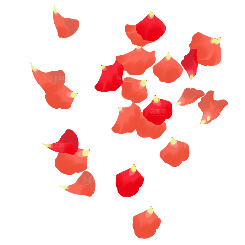 手绘花瓣花朵花卉装饰图案PNG免抠素材