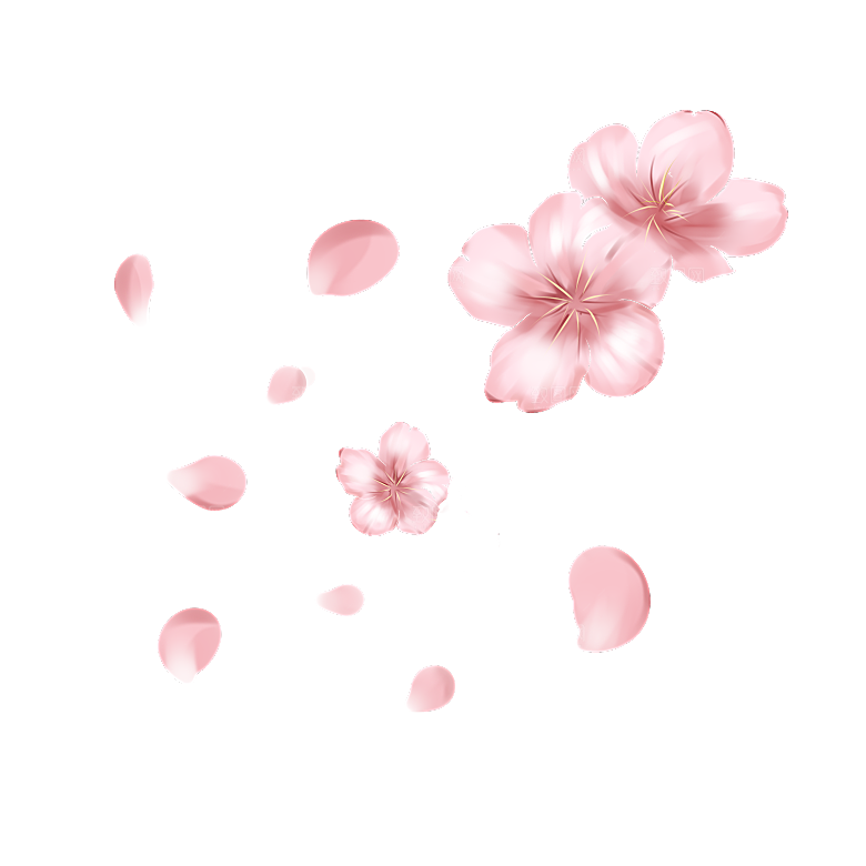 手绘花瓣花朵花卉装饰图案PNG免抠素材