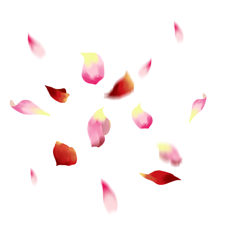 手绘花瓣花朵花卉装饰图案PNG免抠