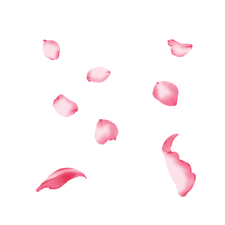 手绘花瓣花朵花卉装饰图案PNG免抠