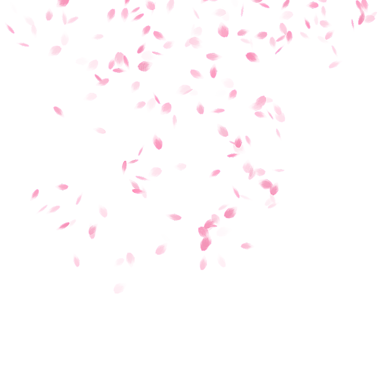 手绘花瓣花朵花卉装饰图案PNG免抠素材
