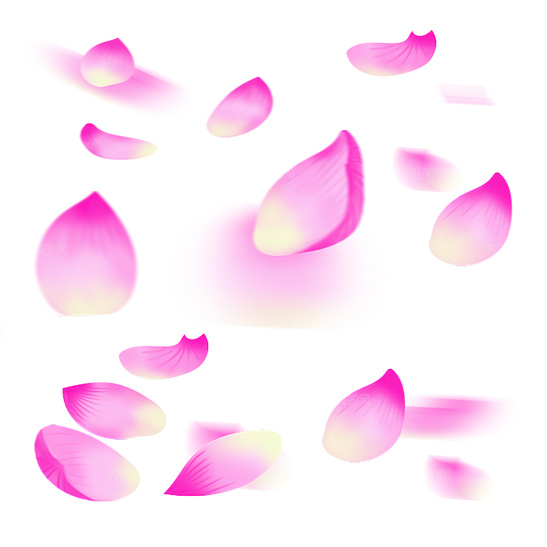 手绘花瓣花朵花卉装饰图案PNG免抠素材