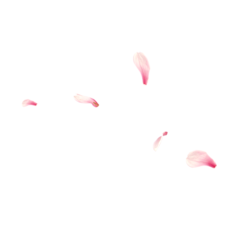 手绘花瓣花朵花卉装饰图案PNG免抠