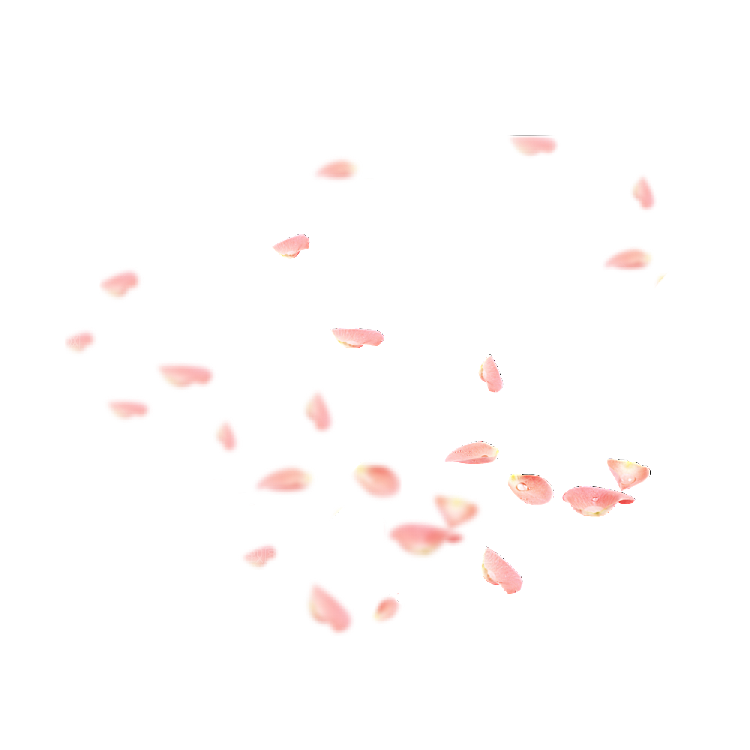 手绘花瓣花朵花卉装饰图案PNG免抠