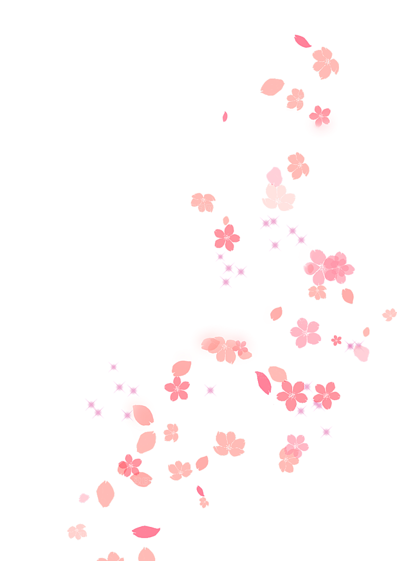 手绘花瓣花朵花卉装饰图案PNG免抠
